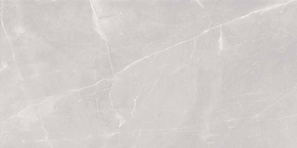 ARMO SILVER