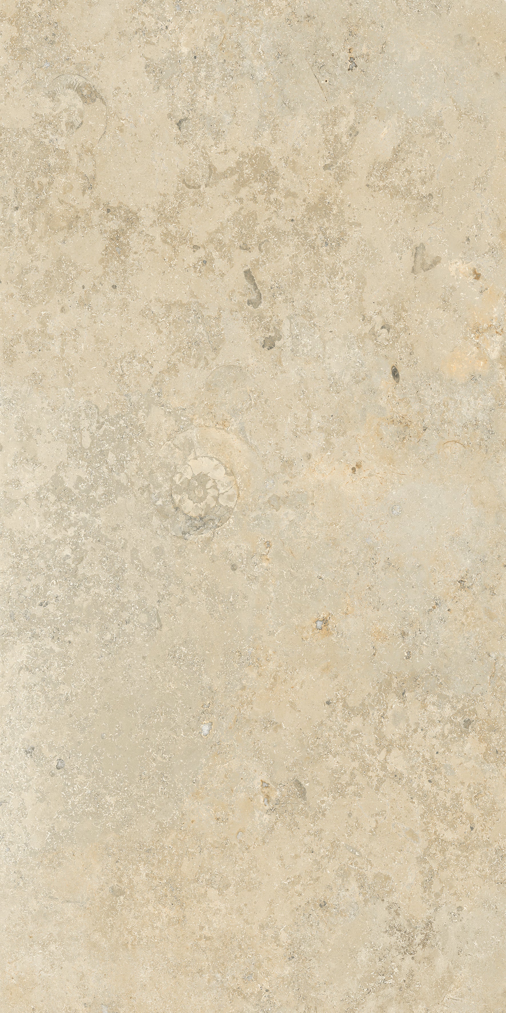 BURLINGTON BEIGE