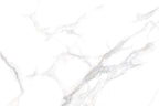 ENDLESS CREST STATUARIO