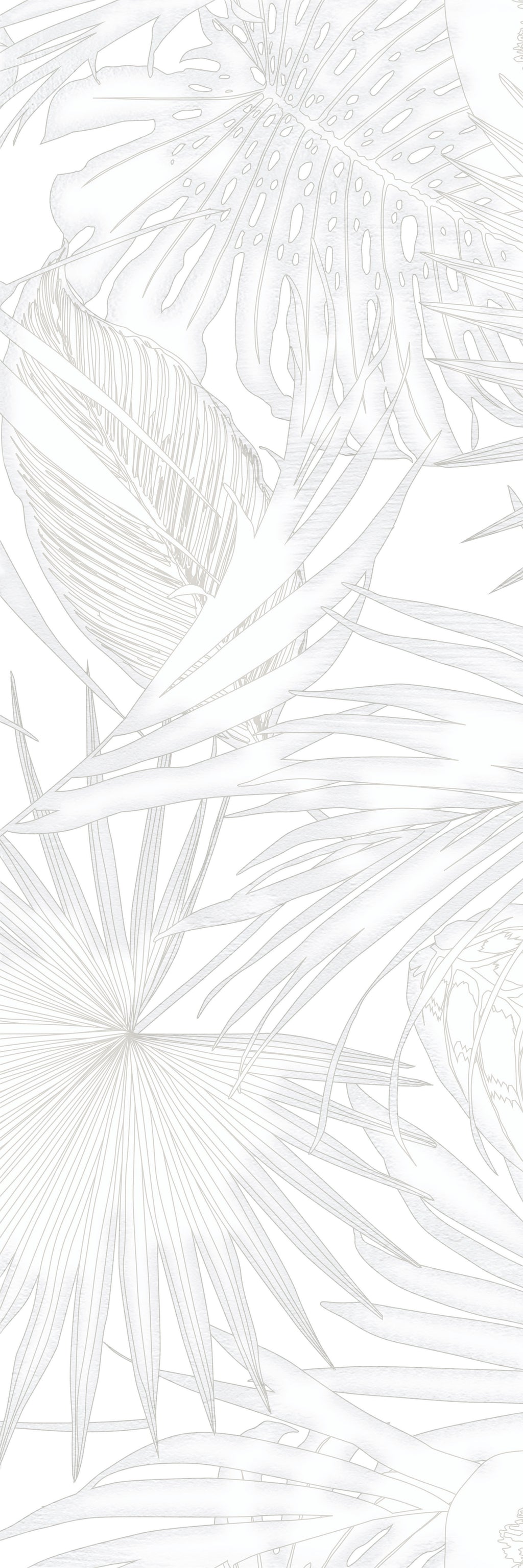 BOTANICAL ESSENTIAL SET