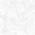 BOTANICAL ESSENTIAL SET