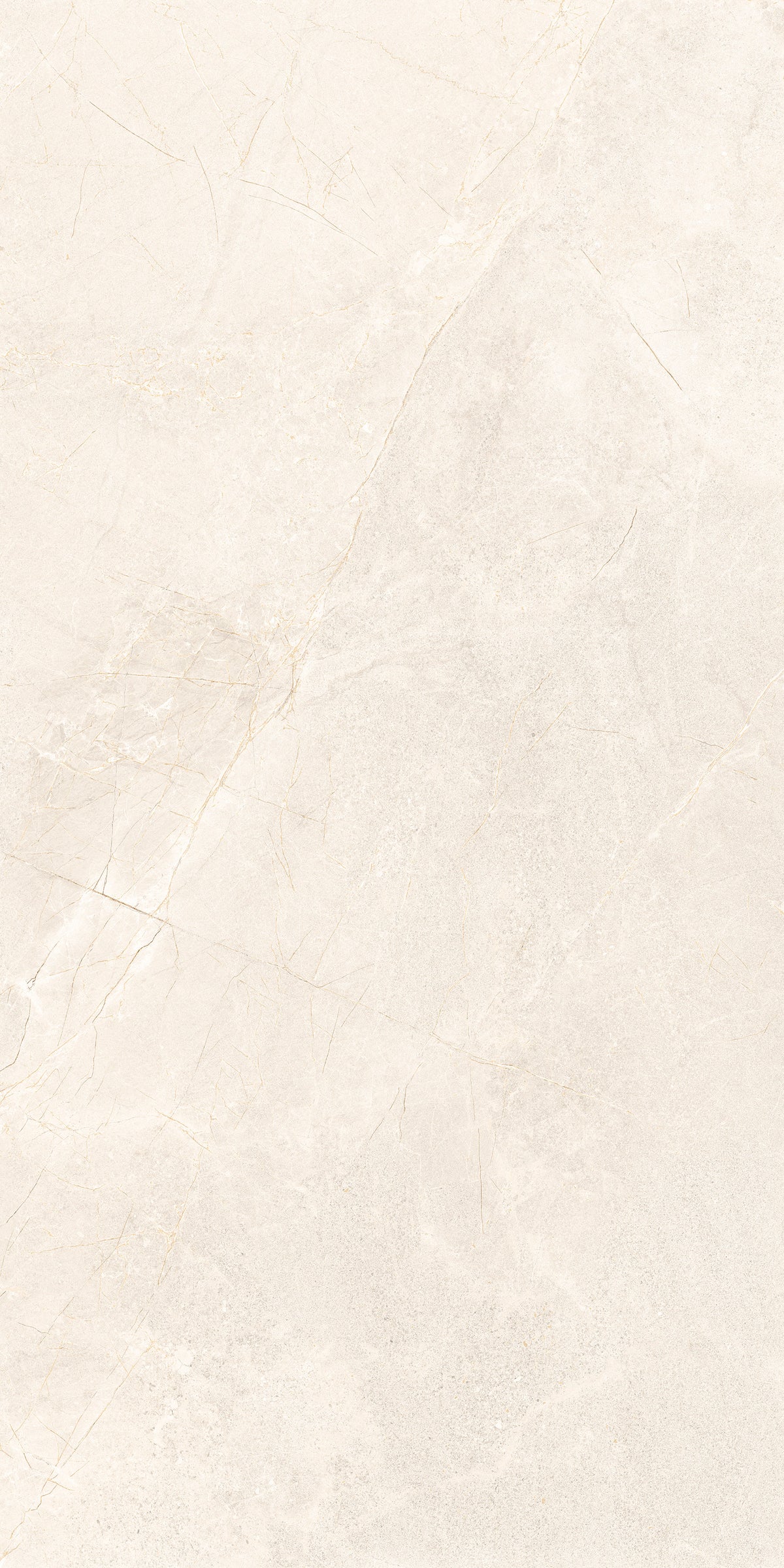 MOONLIGHT IVORY