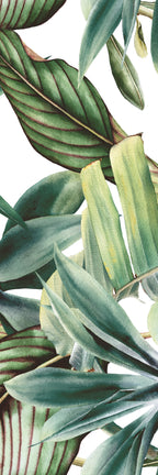 BOTANICAL GREEN SAVAGE SET