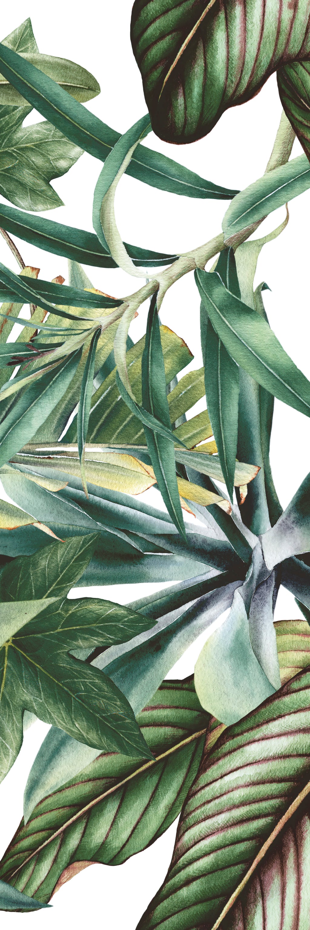 BOTANICAL GREEN SAVAGE SET