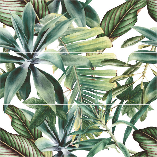 BOTANICAL GREEN SAVAGE SET