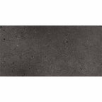 AXIA CONCRETE ANTHRACITE