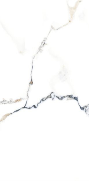 CALACATTA CALVIN