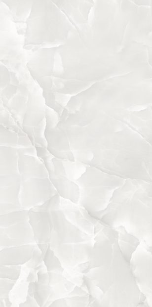 PRIZOMA ONYX SILVER