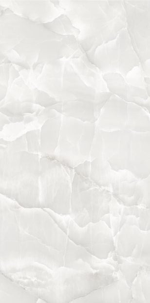 PRIZOMA ONYX SILVER