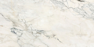 CAPRAIA WHITE